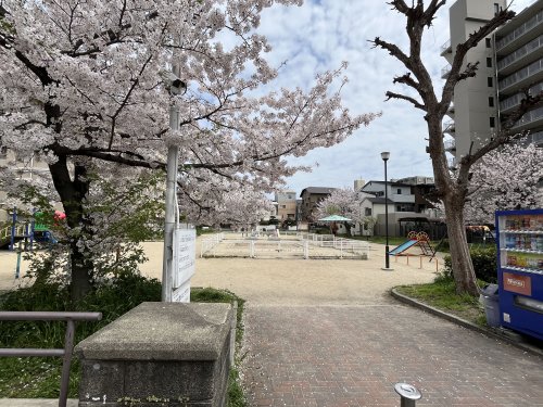 公園　文の里公園（公園）まで624m