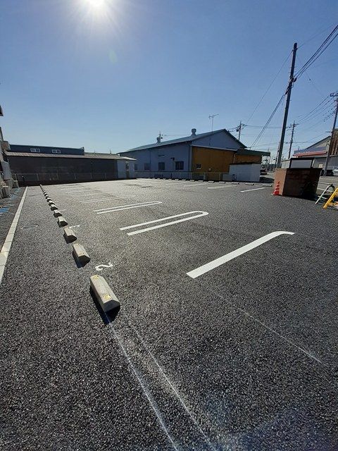 アネモネのその他写真
