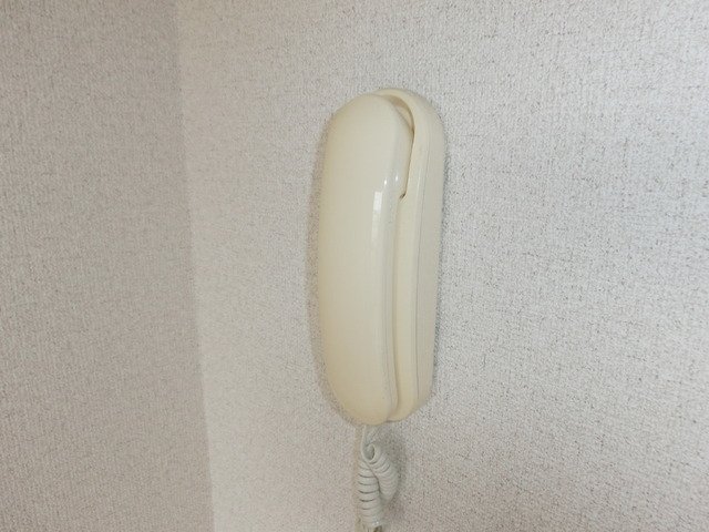 カーサ・ブランカ-定期借家5年-のその他写真