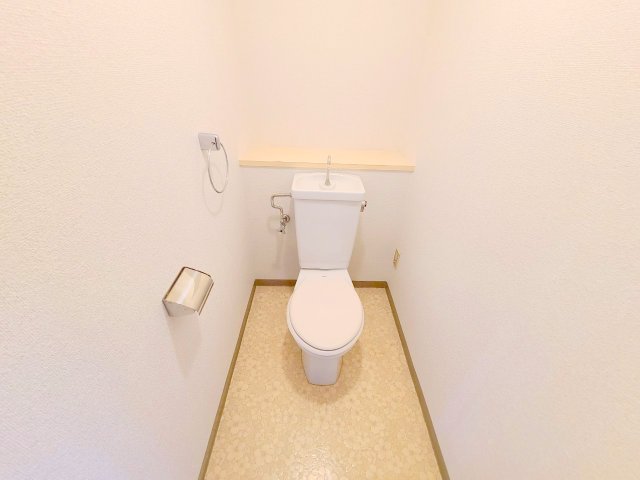 メゾン東生駒のトイレ写真