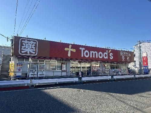 レオネクストテネレッツァのその他写真