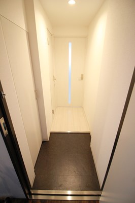 地下鉄南北線 平岸駅 徒歩6分 5階建 築7年の玄関写真