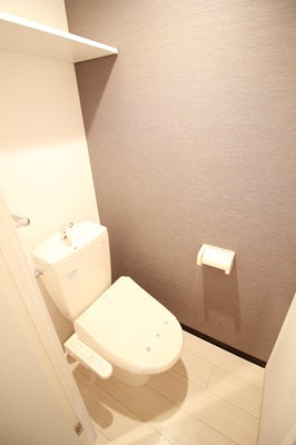 地下鉄南北線 平岸駅 徒歩6分 5階建 築7年のトイレ写真