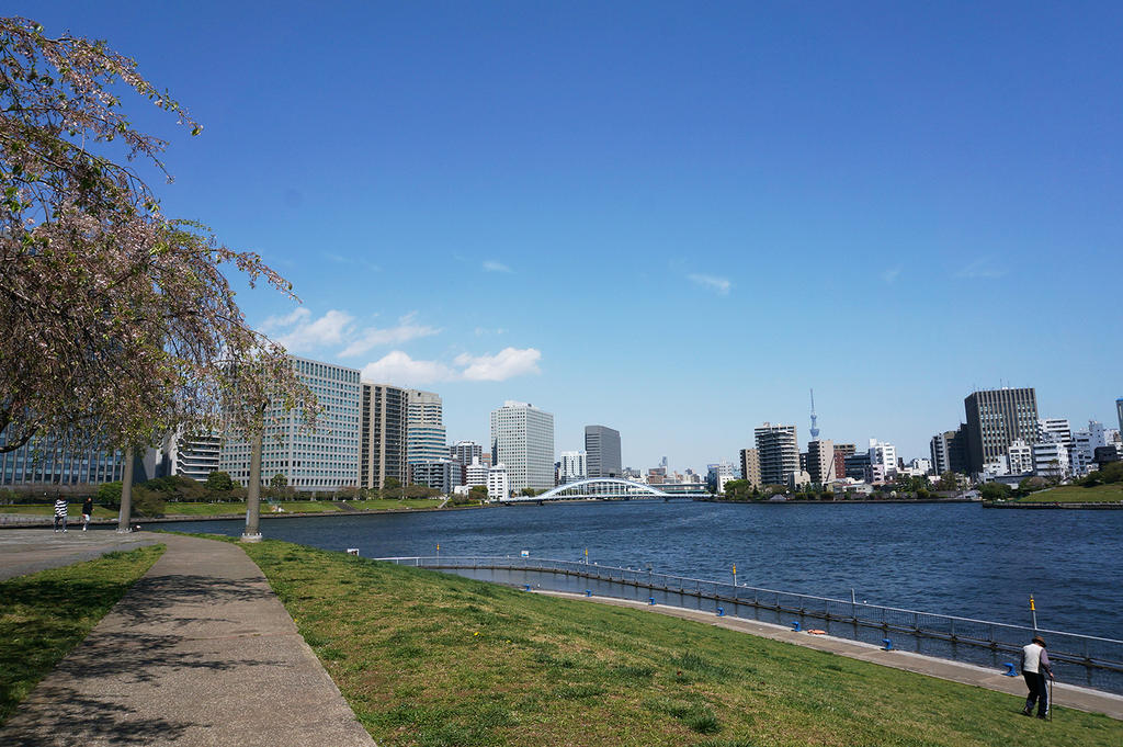 公園　石川島公園（公園）まで496m
