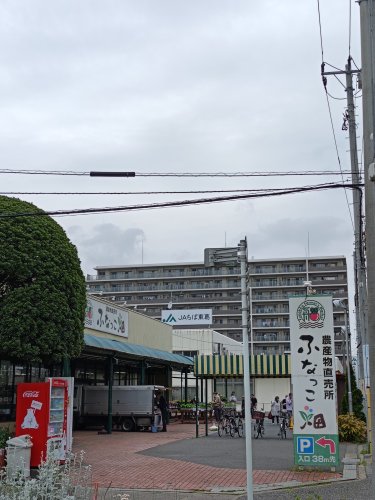 銀行　JAちば東葛行田支店（銀行）まで336m