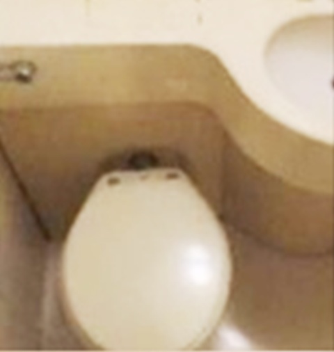 アサミハイツのトイレ写真