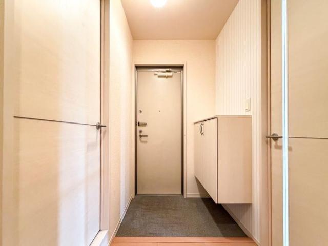 ＪＲ中央本線 新守山駅 徒歩19分 3階建 築17年の玄関写真