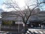 病院　青梅市立総合病院（病院）まで1000m