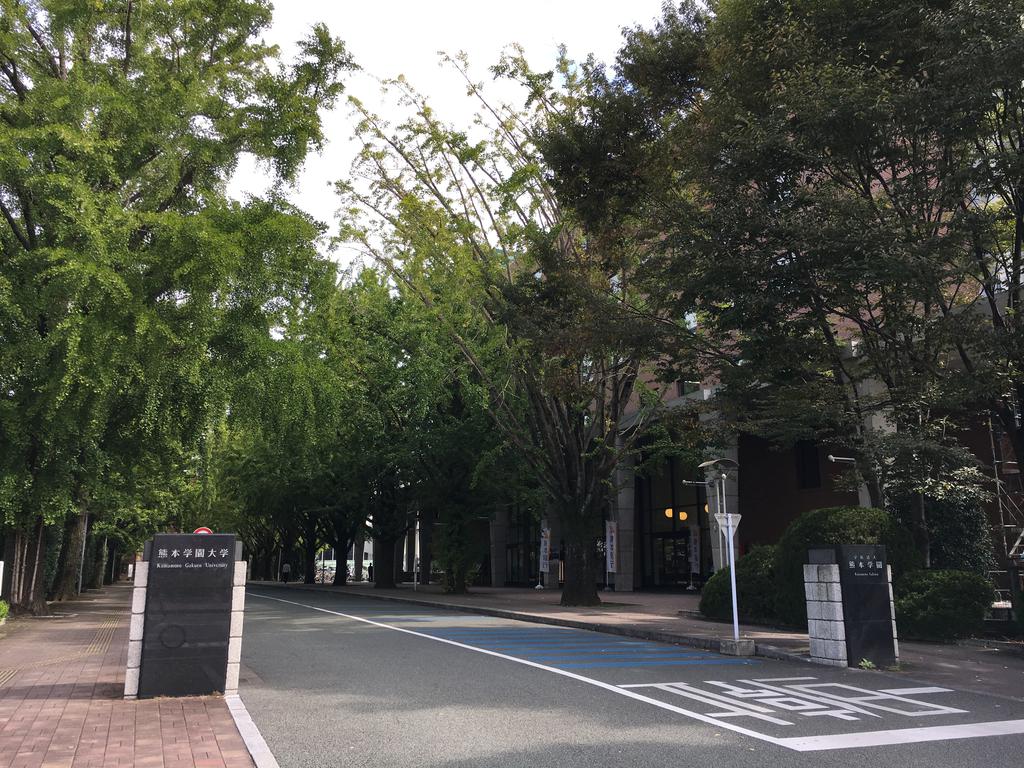 ＪＲ豊肥本線 水前寺駅 徒歩13分 6階建 築31年の周辺写真