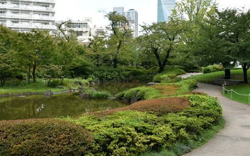 公園　六本木六丁目緑地（公園）まで527m