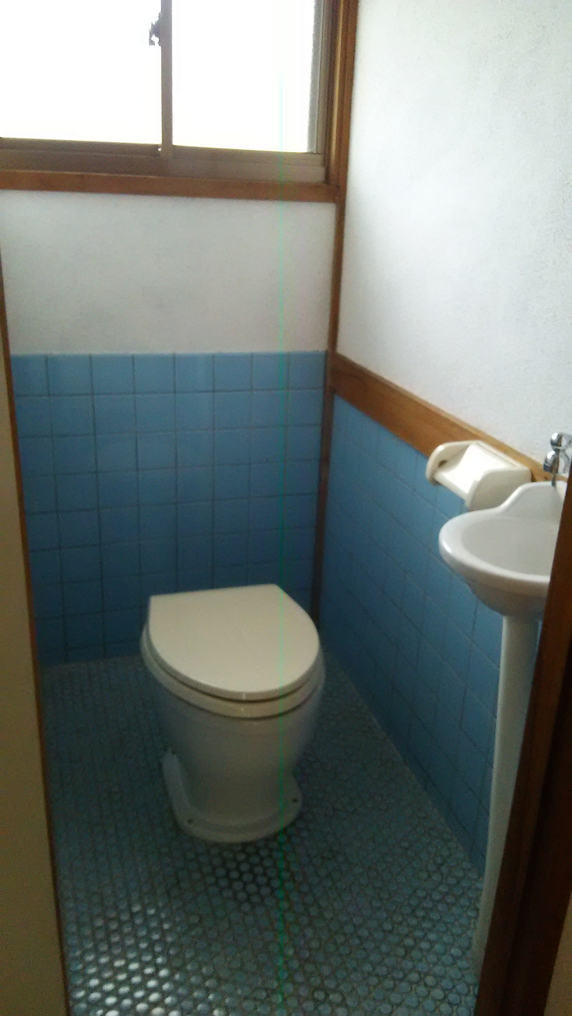 東広島市 2階建 築38年のトイレ写真