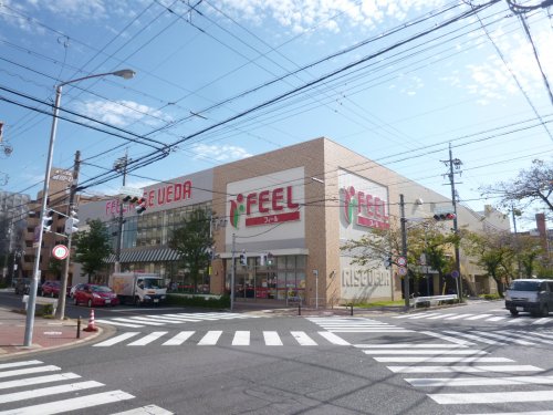 スーパー　フィール（スーパー）まで505m