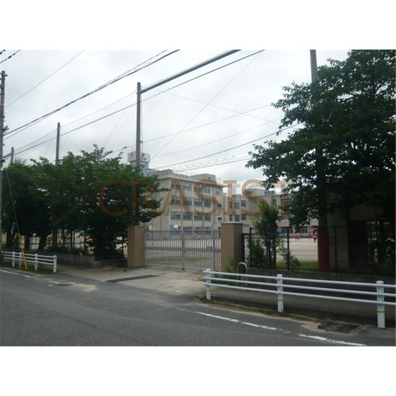 小学校　福岡市立東光小学校（小学校）まで216m