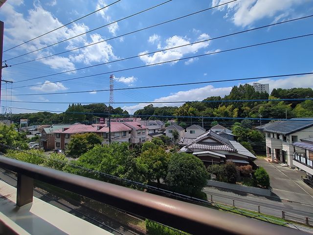 ハイム・ペルレのその他写真