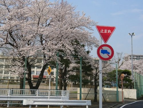 小学校　八王子市立横川小学校（小学校）まで1557m