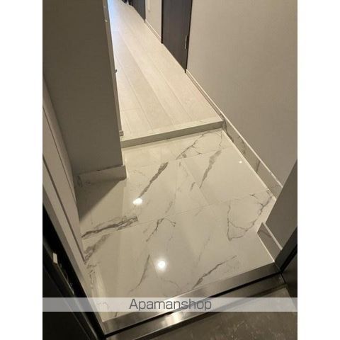 MーRESIDENCE新江古田の玄関写真