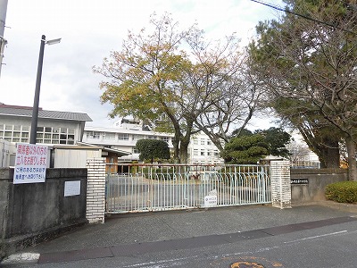 【ファルコ鷹匠の小学校】