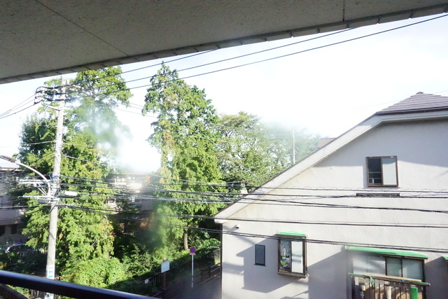眺望　お部屋前には緑があるので、心癒されますね☆