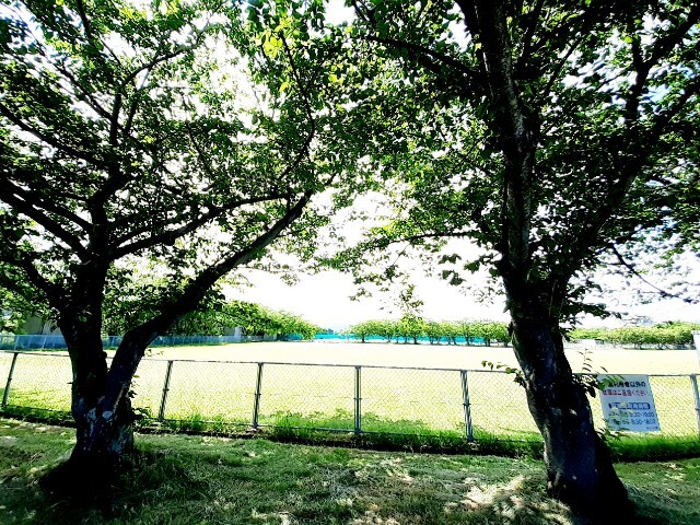 公園　厚原スポーツ公園（公園）まで140m
