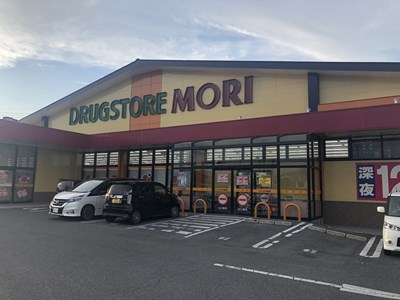 ドラックストア　ドラッグストアモリ嘉島店（ドラッグストア）まで222m