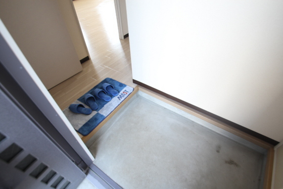 玄関　※別部屋の写真です