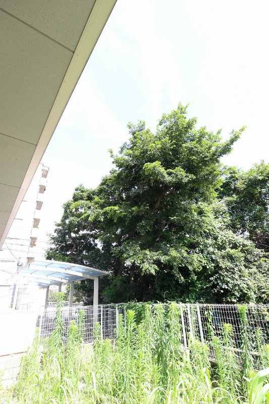 眺望　実際のお部屋の写真は準備中の為、同建物の別号室の写真です。