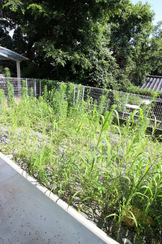 バルコニー　実際のお部屋の写真は準備中の為、同建物の別号室の写真です。