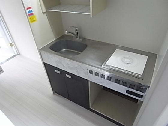 キッチン　※別号室の写真です