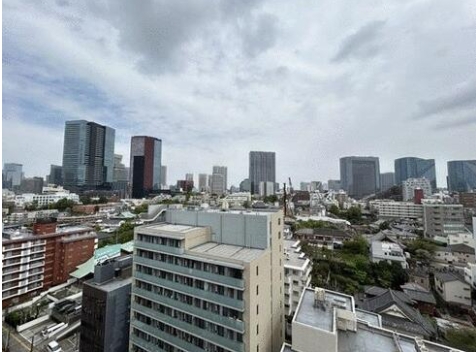 東京メトロ南北線 白金高輪駅 徒歩3分 17階建 築21年のその他写真