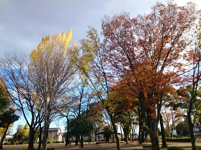公園　くじら森公園（公園）まで280m