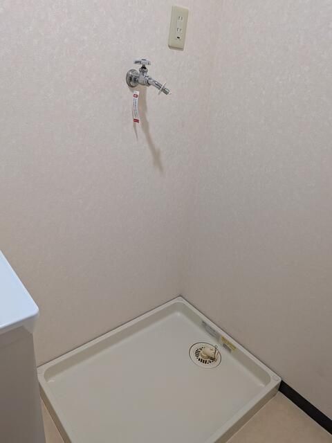 アザールカモのその他写真