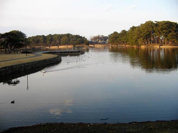 公園　大池公園（公園）まで1700m