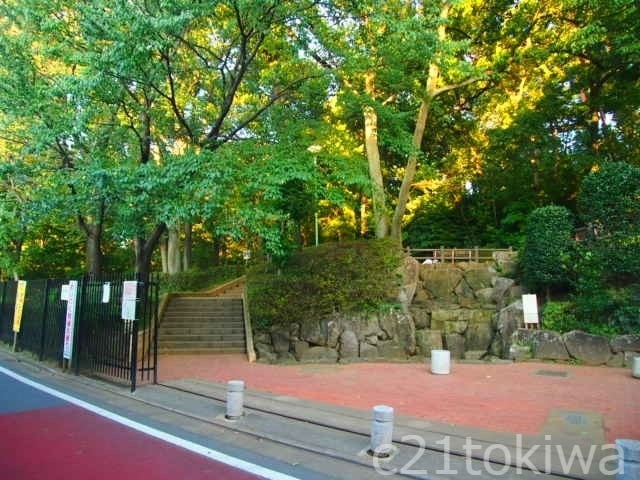 公園　滝の根公園（公園）まで536m