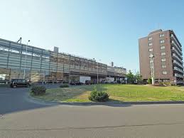 その他　新琴似（その他）まで345m