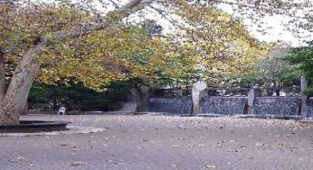 公園　蚕糸の森公園（公園）まで155m