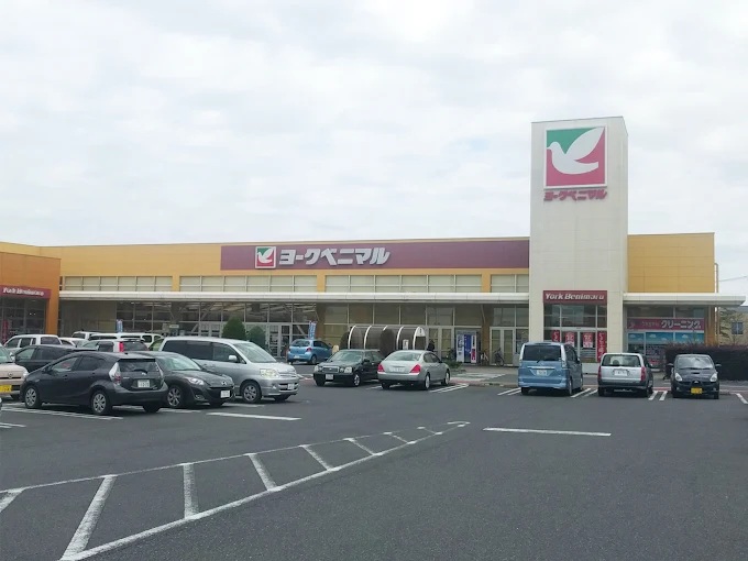 スーパー　ヨークベニマル赤塚店（スーパー）まで1666m