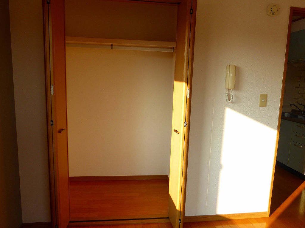 収納　クロゼット。開いているところ