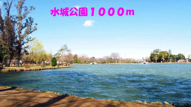 【ヴィラ・パルテ－ルの公園】