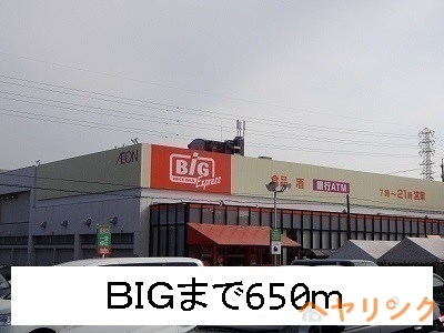 その他　ビッグ（その他）まで650m