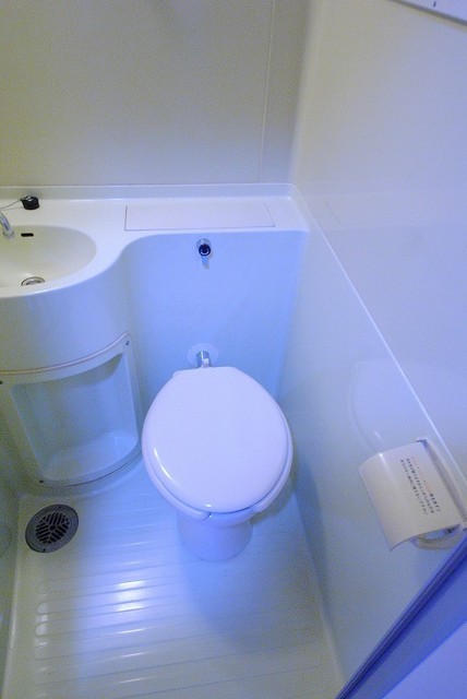 トイレ　写真は３０３号室