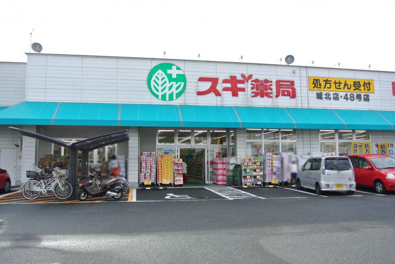 ドラックストア　スギ薬局城北店（ドラッグストア）まで671m