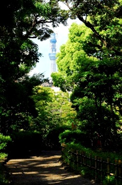 公園　横網町公園（公園）まで250m