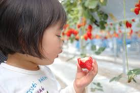 幼稚園・保育園　あい保育園水天宮（幼稚園・保育園）まで136m