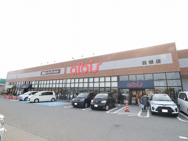 スーパー　アルビス（株）／羽根店（スーパー）まで591m