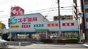 ドラックストア　スギ薬局 高畑店（ドラッグストア）まで2865m