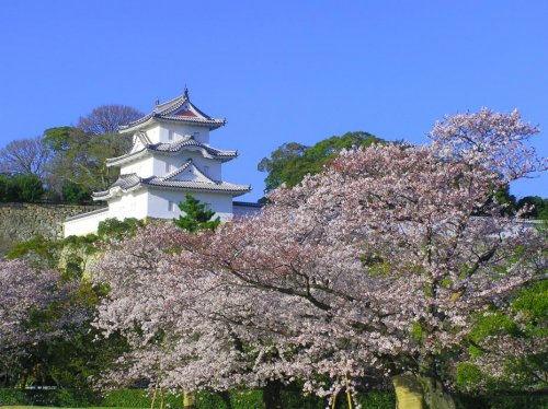 公園　兵庫県立 明石公園（公園）まで838m