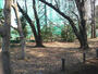 公園　たけしたの森緑地（公園）まで889m