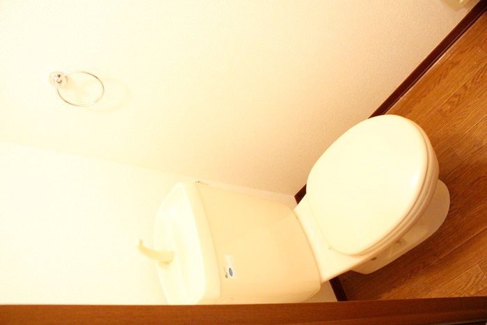 パインチグリスIIAのトイレ写真