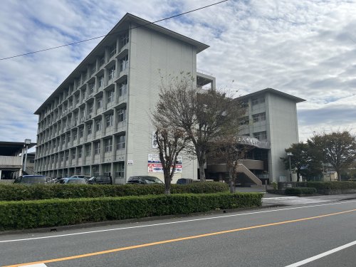 高校・高専　熊本県立八代東高校（高校・高専）まで1260m