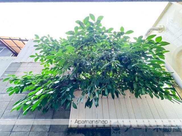 眺望　眺望